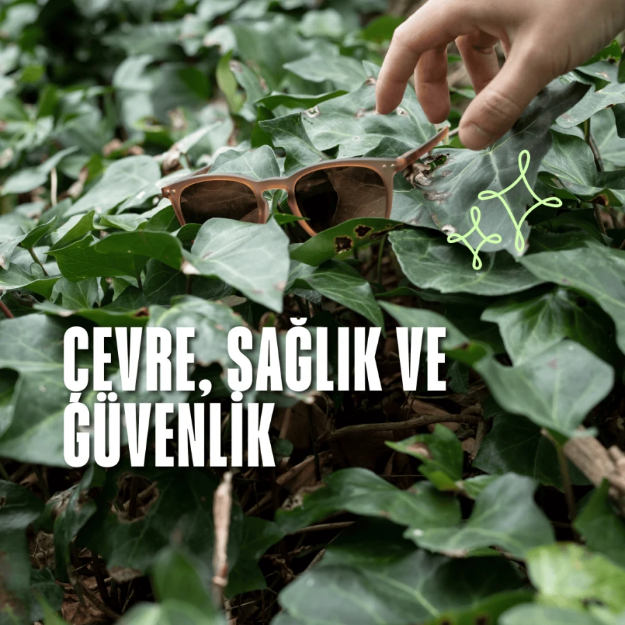 Çevre, Sağlık ve Güvenlik
